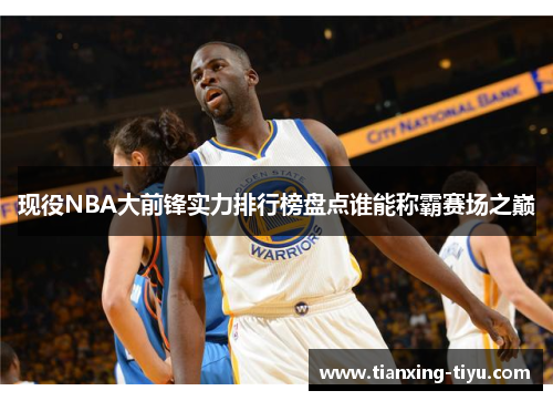 现役NBA大前锋实力排行榜盘点谁能称霸赛场之巅